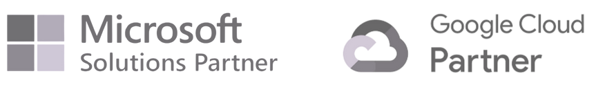 Microsoft Partner and Google Cloud Partner